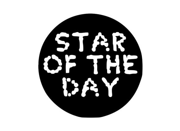 Good Job Sticker - Star of the Day V1 Graphics and Crafts Review